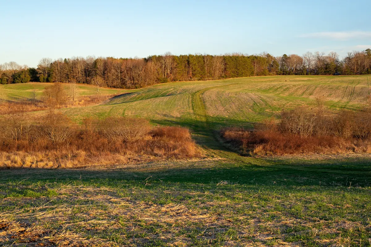 The McLaws–Miles Trail in February, on the same Fredericksburg battlefield ground